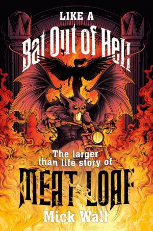 Cover of the book Like a Bat Out of Hell by Edmund Cooper