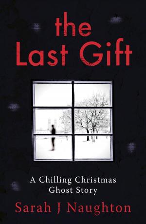 Cover of the book The Last Gift by RJ Green