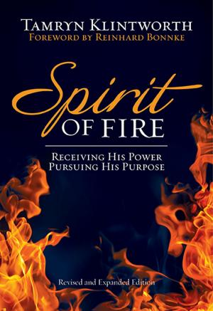 Cover of the book Spirit of Fire (eBook) by B.R. Smith