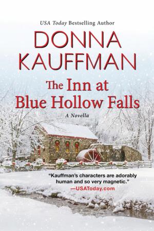 Cover of the book The Inn at Blue Hollow Falls by Kathleen Bittner Roth