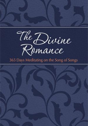 Cover of the book The Divine Romance by Brian Simmons, Candace Simmons
