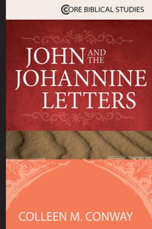 Cover of the book John and the Johannine Letters by Jack M. Tuell