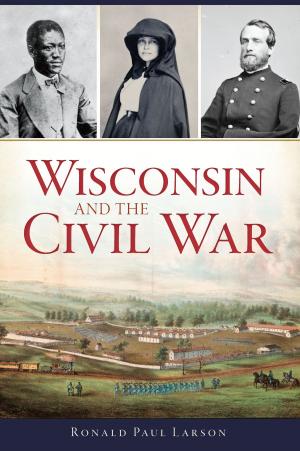 Cover of the book Wisconsin and the Civil War by Christopher S. Larsen