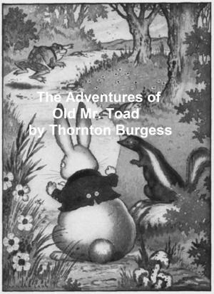 Book cover of The Adventures of Old Mr. Toad, Illustrated