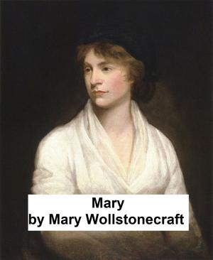 Cover of the book Mary, a fiction by Louisa May Alcott