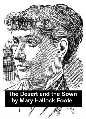 Cover of the book The Desert and the Sown by George Gissing