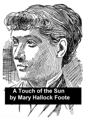 Cover of the book A Touch of the Sun and Other Short Stories by Mary Roberts Rinehart