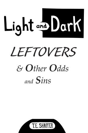 Cover of the book Light and Dark Leftovers & Other Odds and Sins by Amanda Reed