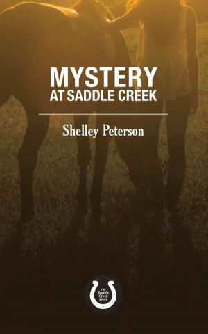 Book cover of Mystery at Saddle Creek
