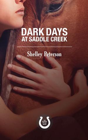 Book cover of Dark Days at Saddle Creek