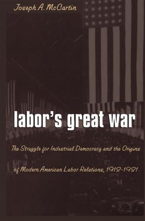Cover of the book Labor’s Great War by Wendy Hunter
