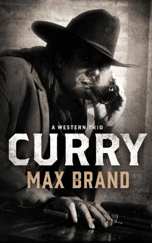 Cover of the book Curry by Gregory Mcdonald
