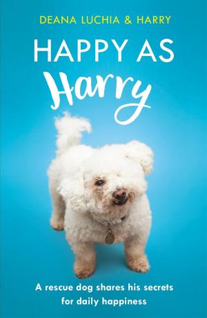 Cover of the book Happy as Harry by Paul Doherty