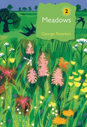 Cover of the book Meadows by Brian Criner