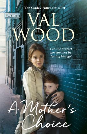 Cover of the book A Mother's Choice by M C Scott