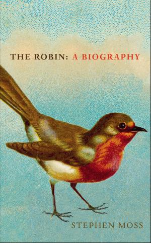 Book cover of The Robin