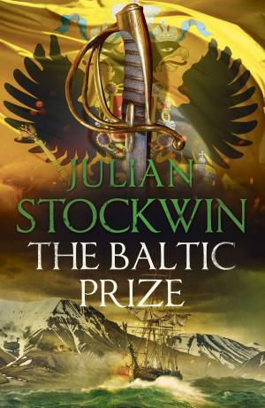 Cover of the book The Baltic Prize by Jason Underhill