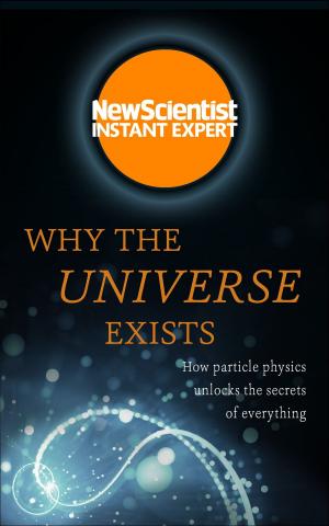 Cover of Why the Universe Exists