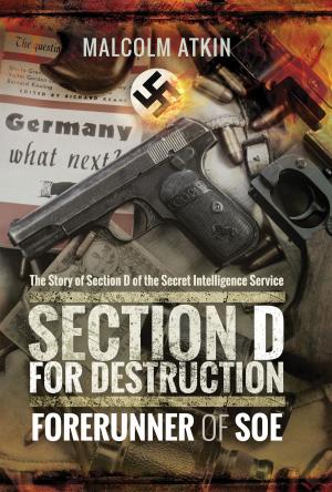 Cover of the book Section D for Destruction by Philip Pardoe
