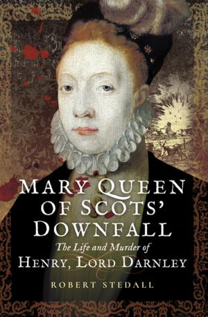 bigCover of the book Mary Queen of Scots' Downfall by 