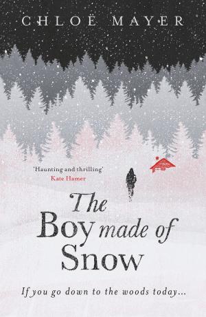 Cover of the book The Boy Made of Snow by Rachel Pollack