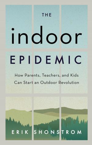 Cover of the book The Indoor Epidemic by Stewart E. Sutin, W. James Jacob