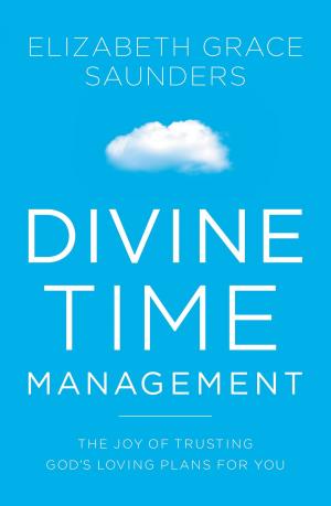 Book cover of Divine Time Management
