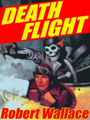 Cover of the book Death Flight by Fletcher Flora