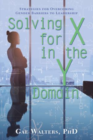 Cover of the book Solving for X in the Y Domain by Lucas Blane