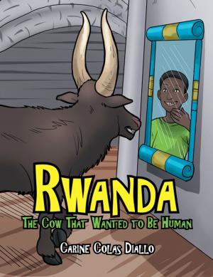 Cover of the book Rwanda by Joe Reichenberger, Madan Arora