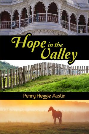 Cover of the book Hope in the Valley by Janice E. Jordan