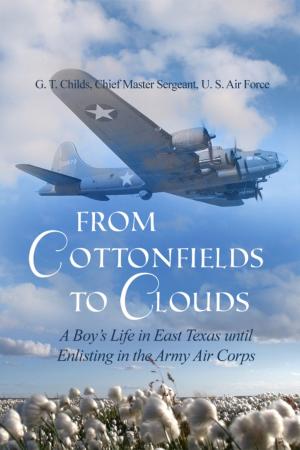 Cover of the book From Cottonfields to Clouds by Mack Holland