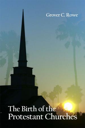 Cover of the book The Birth of the Protestant Churches by Hallie L. Gamble