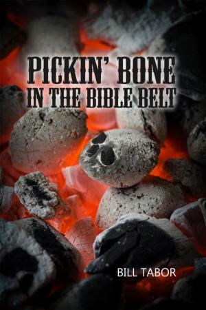 Book cover of Pickin' Bone in the Bible Belt