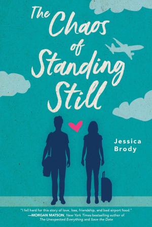bigCover of the book The Chaos of Standing Still by 