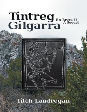 Book cover of Tintreg Gilgarra: En Brera II - a Sequel