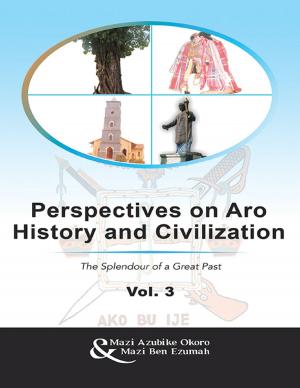 Cover of the book Perspectives On Aro History and Civilization: The Splendour of a Great Past Vol. 3 by Donald V. “Doc” Tebbe, D.V.M.