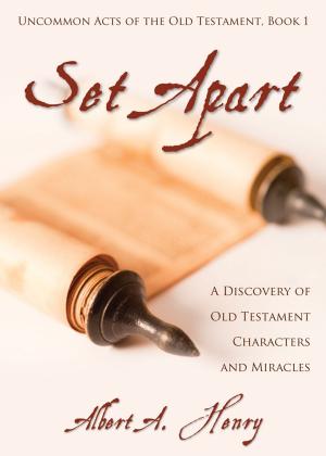 Cover of the book Set Apart by Gbemi Brainerd