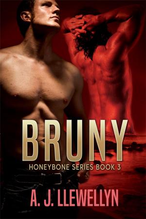Book cover of Bruny