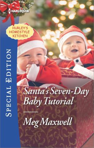 Cover of the book Santa's Seven-Day Baby Tutorial by Margaret Moore
