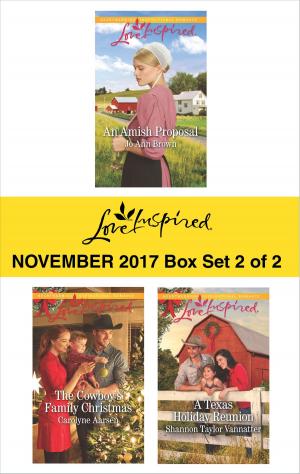 Book cover of Harlequin Love Inspired November 2017 - Box Set 2 of 2