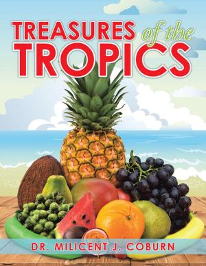 Cover of the book Treasures of the Tropics by Hallee Bridgeman