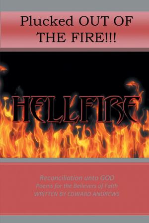 Cover of the book Plucked out of the Fire! by Marlin Dujuan