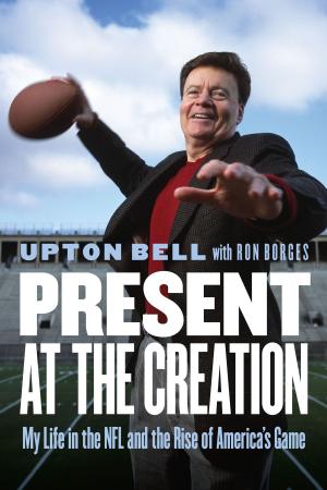 Cover of the book Present at the Creation by Paul Wadlington