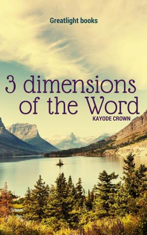 Cover of the book 3 Dimensions of the Word by Kayode Crown