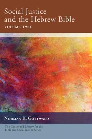 Cover of the book Social Justice and the Hebrew Bible, Volume Two by Michael Gold