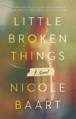 Cover of the book Little Broken Things by Iyanla Vanzant
