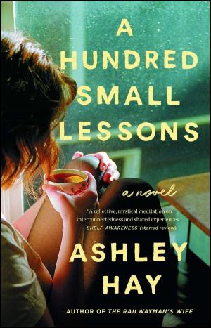 Cover of the book A Hundred Small Lessons by Susan Rebecca White