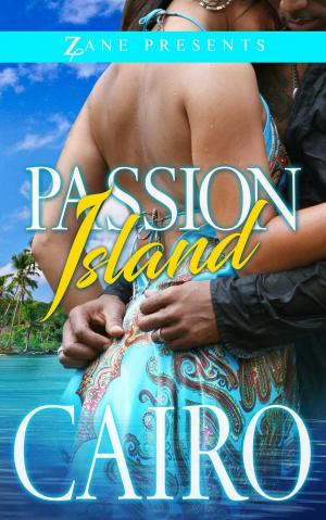 Book cover of Passion Island