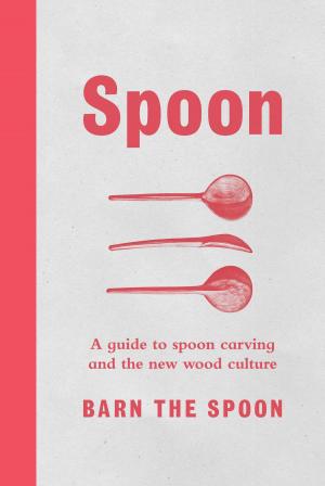 Cover of the book Spoon by Chuck Klosterman